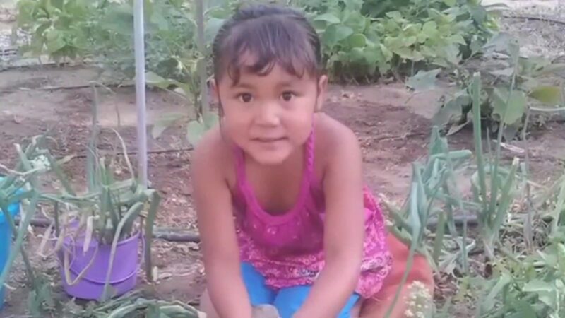 Michael Roberts, First Nations Development Institute - YouTube-Pb-LIV-8XK4