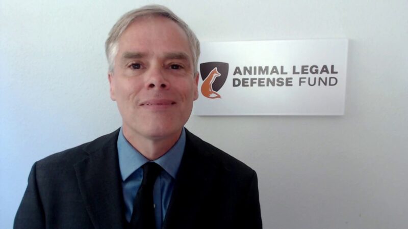 Stephen Wells, Animal Legal Defense Fund - YouTube-zv4k7uF-4ig