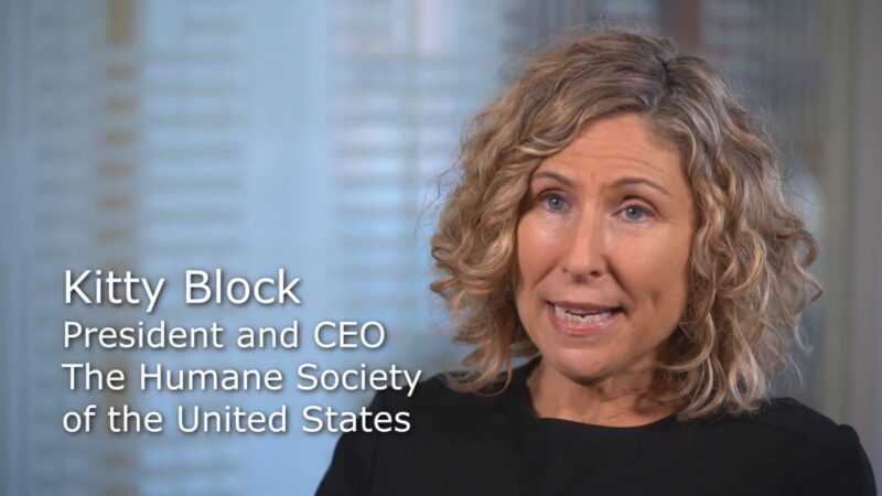 Kitty Block, The Humane Society of the United States - YouTube-gbxKlQt832Y