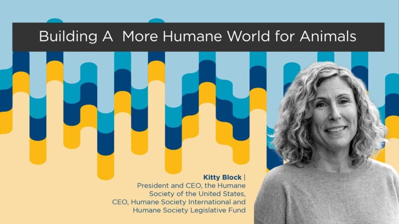 Kitty Block with Humane Society of the United States - YouTube-lT5kqILV1v0