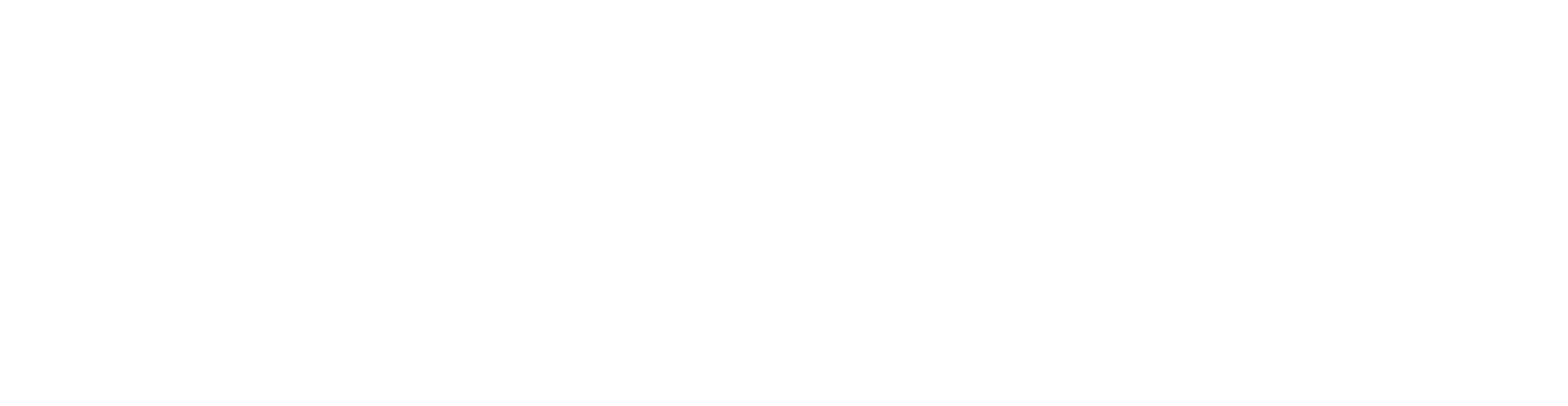 Give.org logo