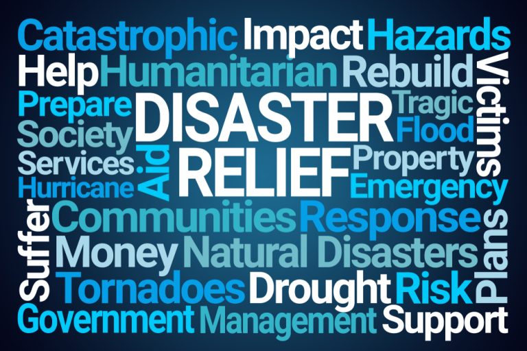 Disaster Releif Wordcloud image