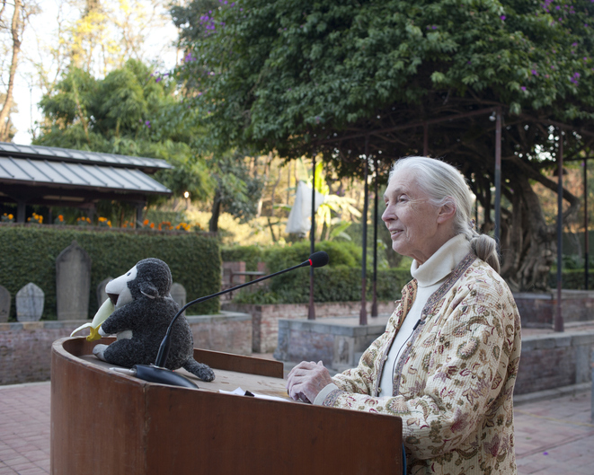 Wise Giving Wednesday: Honoring the Life and Legacy of Jane Goodall