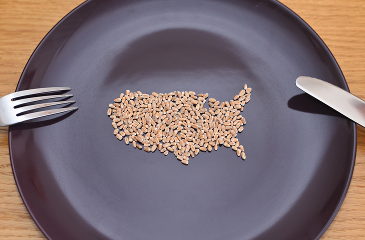 - Wheat arranged in the shape of the United States on a plate, symbolizing food insecurity and hunger.